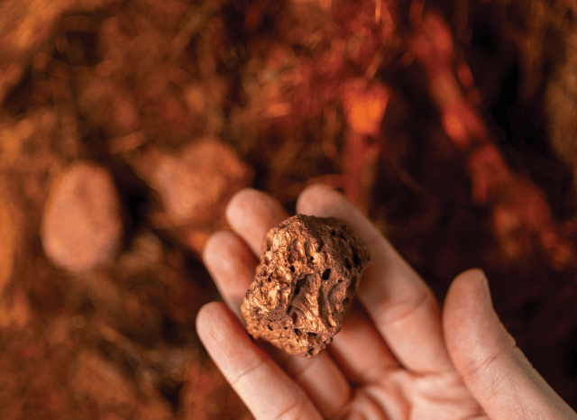 Stanislav_Kondrashov-TELF-AG-copper-alloys-deposit