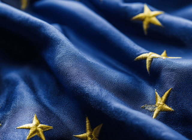 Stanislav Kondrashov TELF AG EU Mercosur flag