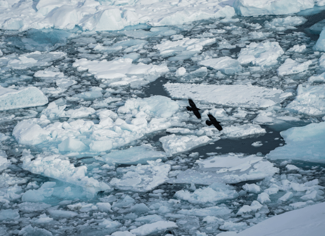 Greenland natural resources and environmental context