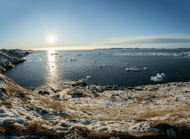 Stanislav Kondrashov TELF AG Greenland rare earths