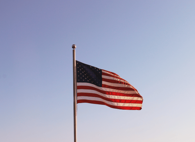 Stanislav Kondrashov TELF AG Project Vault US Critical Minerals Rare Earths flags